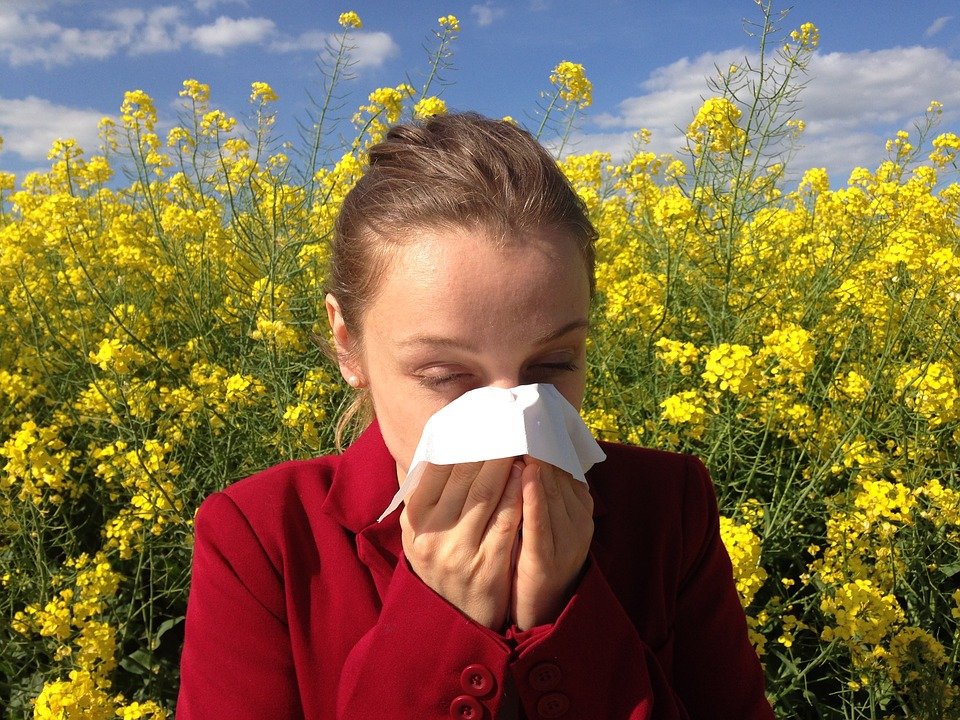Katar sienny (alergiczny nieżyt nosa) – przyczyny, objawy, diagnostyka, leczenie, powikłania